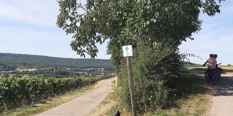 Mittwoch, 19. Juli 2020